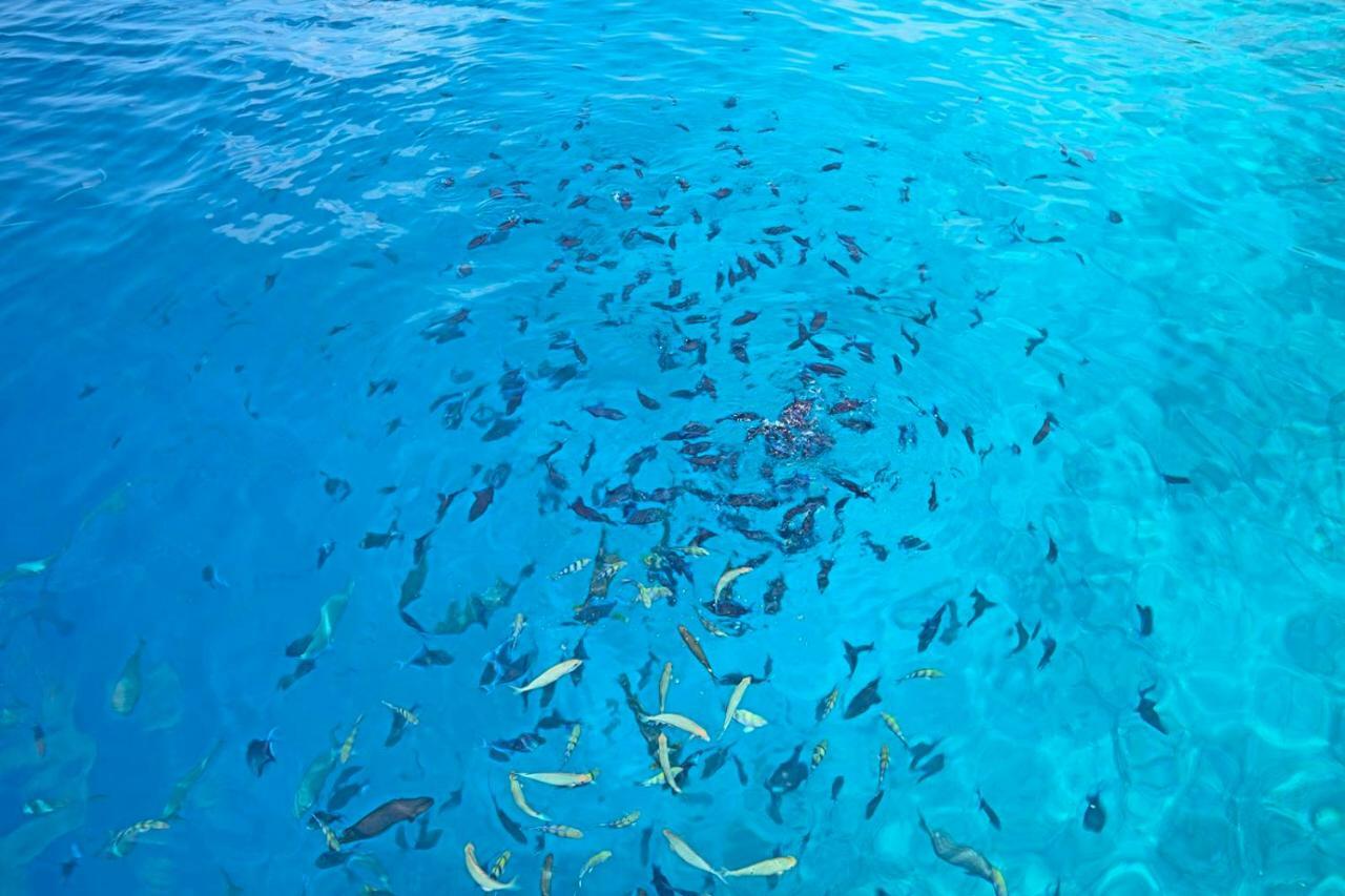 Ocean Village Maldives Holhudhoo Exterior photo