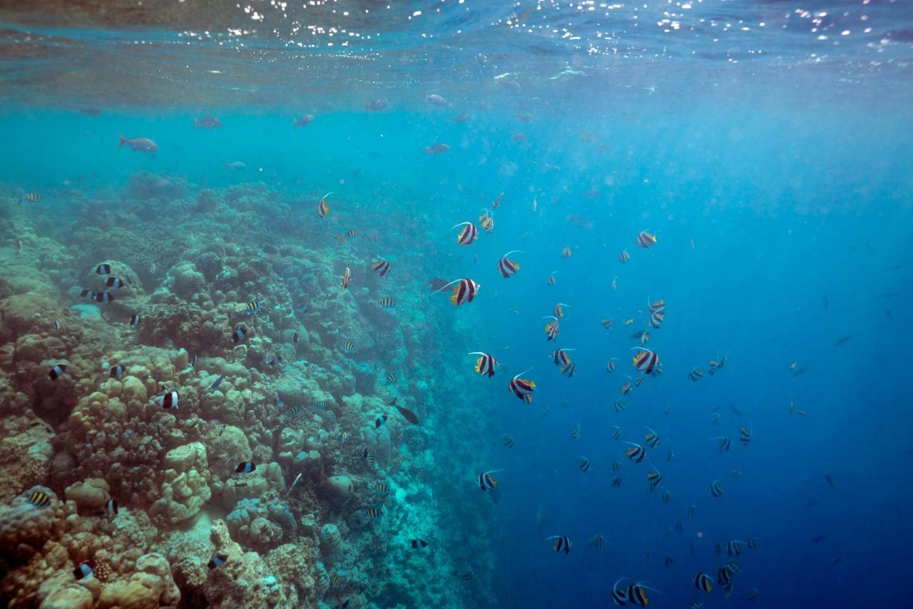 Ocean Village Maldives Holhudhoo Exterior photo