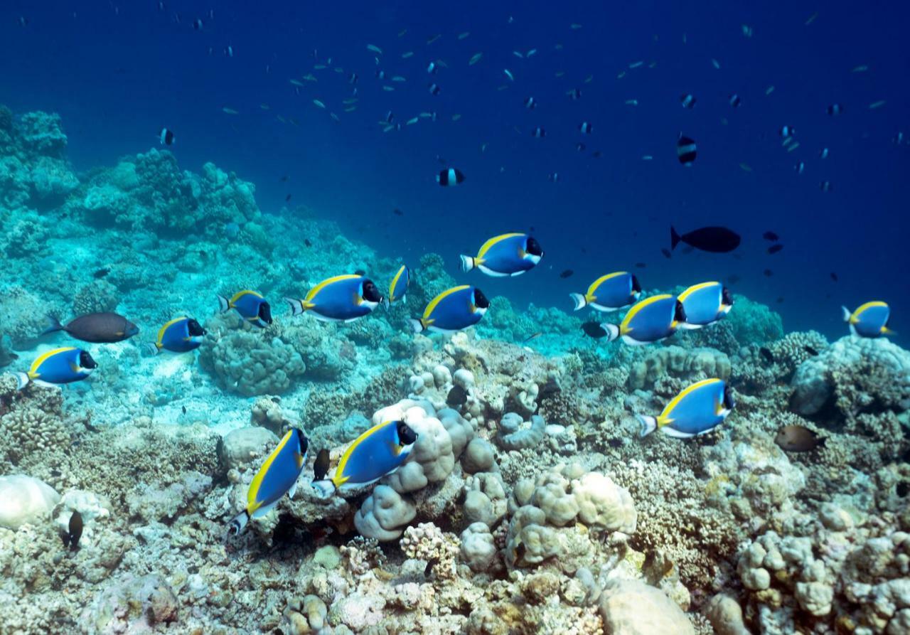 Ocean Village Maldives Holhudhoo Exterior photo